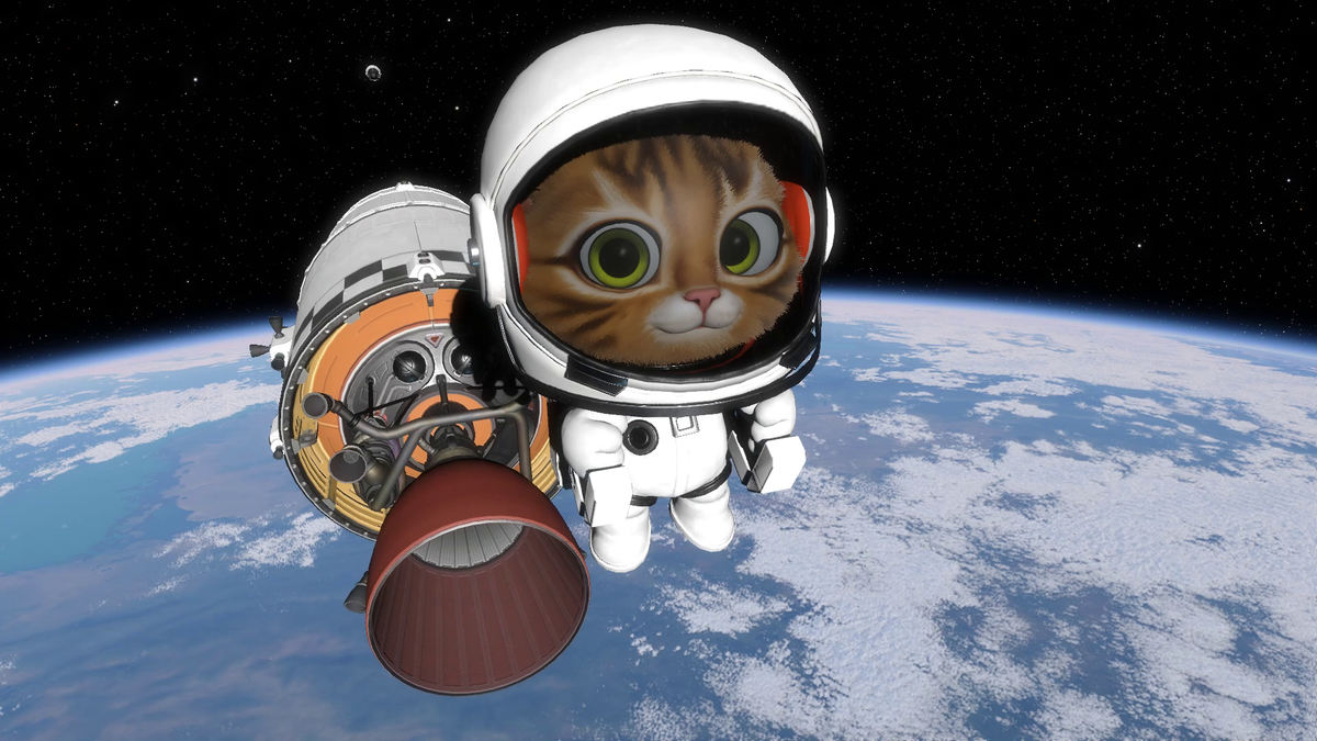 Kätzchen im Weltraum