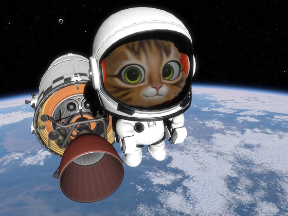 Kätzchen im Weltraum