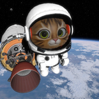 Kätzchen im Weltraum